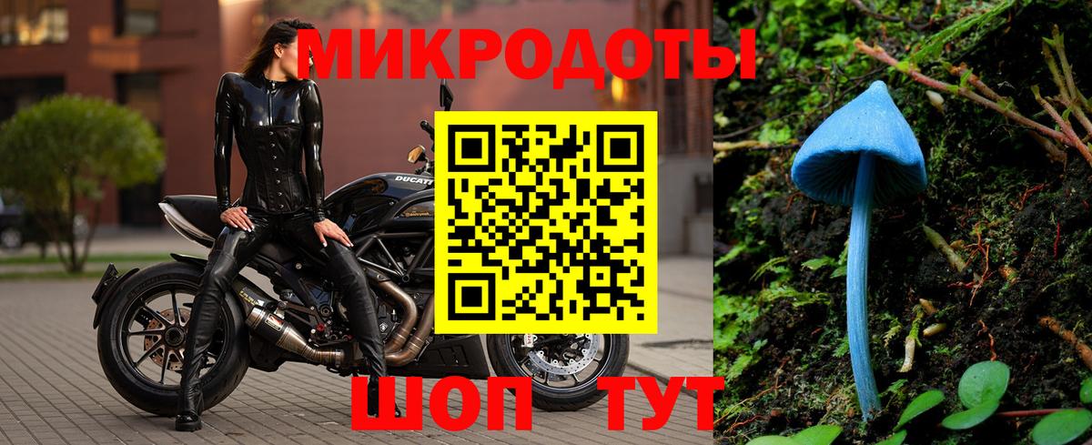 Псилоцибиновые грибы прущие грибы Сланцы