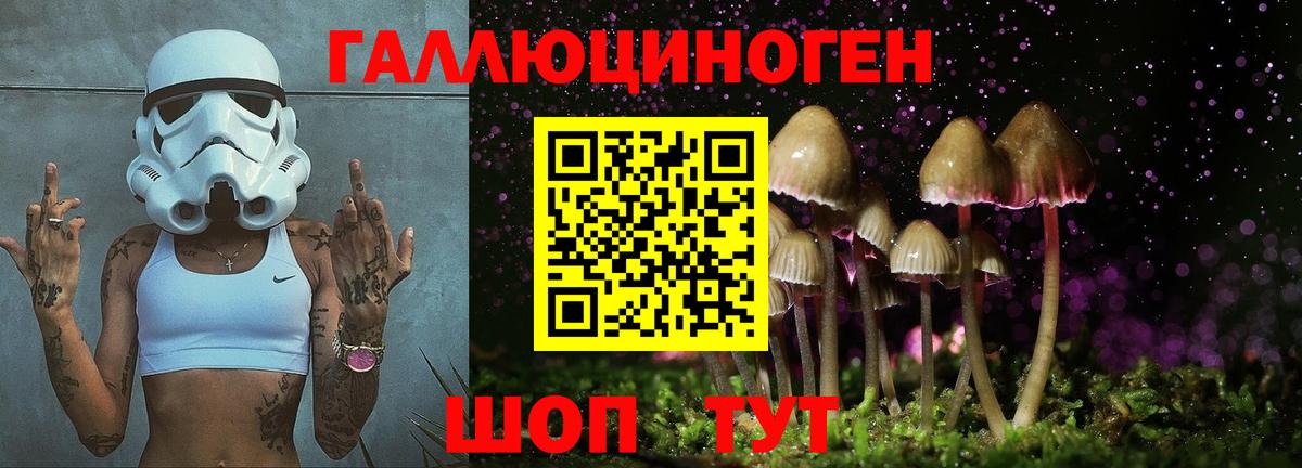Галлюциногенные грибы Cubensis  Галлюциногенные грибы Psilocybine cubensis  Вход с VPN  как найти закладки  Сланцы 